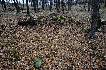 Hradiště u Černovic. Pozůstatky příbytků a valů. ( © Radovan Smokoň 11/2011)