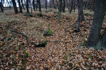 Hradiště u Černovic. Pozůstatky příbytků a valů. ( © Radovan Smokoň 11/2011)