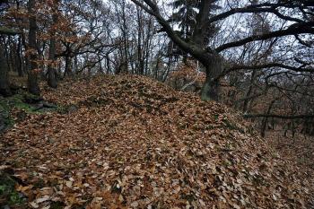Hradiště u Černovic. Východní val (Bojarská zeď) ( © Radovan Smokoň 11/2011)