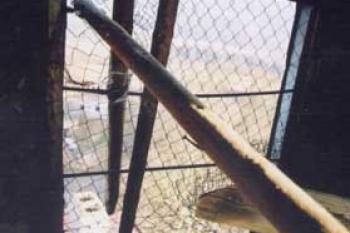 Ve věži zámku. (2002 © Vlky, Jirka Čížek)