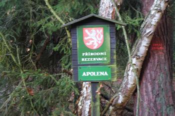 Apolena (© Josef Filio Šretr, 12/2011)