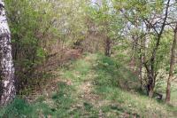 Mazanec