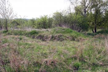 Terénní nerovnosti v jižní části lokality ( © Iva Spurná 1.5.2010)