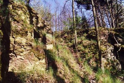 Poděhusy
