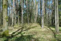 mohylové pohřebiště