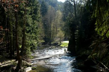  (© Lukáš Švábenický, 04/2011)