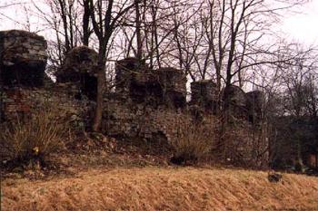 Zříceniny nedostavěného zámku (2002© Vlky, Jirka Čížek)