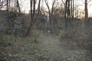  (2003 ©Jiří Marounek)