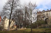 Sonnenstein
