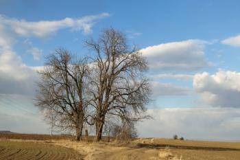 cesta k mukám ( © Milan Caha 12/2011)