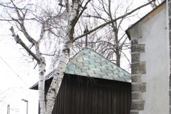 Zvonice od severu ( © Ivan Grisa 03/2008)