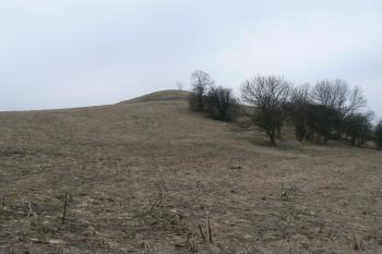 (© Prudký Martin, 03/2011)