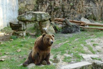  ( © Kateřina Čížková 2005)