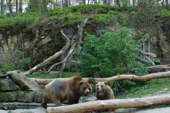  ( © Kateřina Čížková 2005)