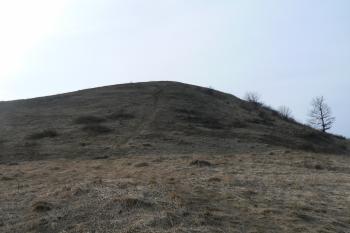  (© Prudký Martin, 03/2011)