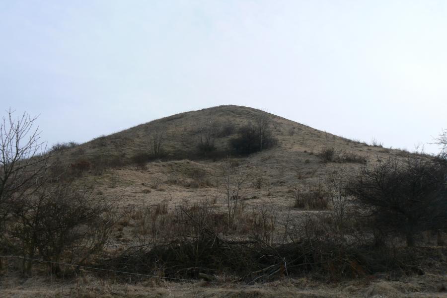 přírodní rezervace Číčov