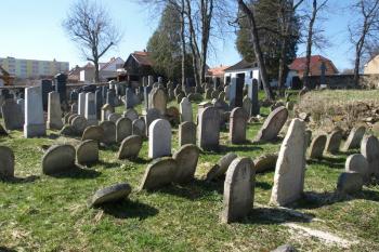židovský hřbitov Pacov (© Milan Caha 04/2010)