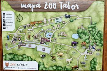 Plán Zoo Tábor (© ZOO Tábor  07/2020)