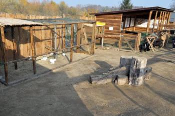  ( © Zoopark Zájezd 2011)