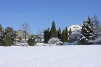 Správní budova Botanické zahrady Mendelu v Brně s učebnami (© Botanická zahrada a arboretum Mendelovy Univerzity v Brně 2011)