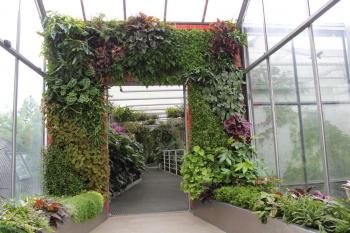 Vchod do skleníku s vertikálním rostlinným osázením (© Botanická zahrada a arboretum Mendelovy Univerzity v Brně 2011)