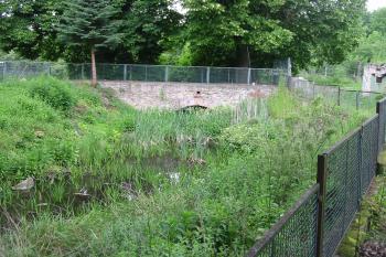 novodobější můstek,vedoucí přes vodní příkop na plochu tvrziště (© D Dohňanský, 06/2014)
