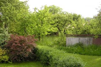 zahrada u statku čp. 29 (© Jan P. Štěpánek 05/2007)