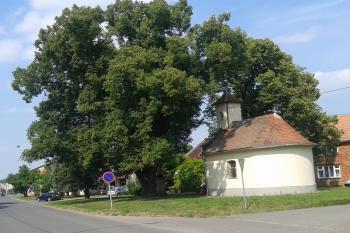  ( © Ivo Rozehnal 06/2015)