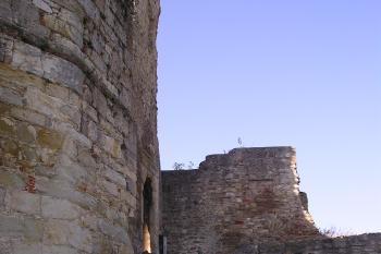 zřícenina hradu Boskovice (© Vlastislav Mareček, 09/2011)