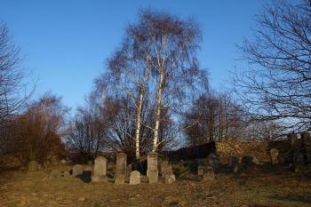  ( © Milan Caha 02/2012)