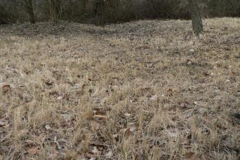 Terén nad stropem krytu (© Prudký Martin, 02/2012)
