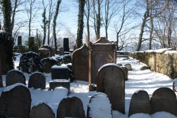  ( © Milan Caha 02/2012)