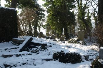  ( © Milan Caha 02/2012)