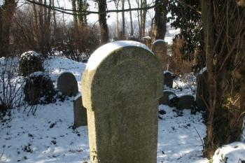  ( © Milan Caha 02/2012)