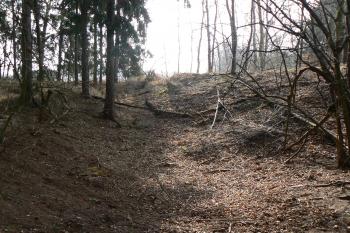  (© Prudký Martin, 03/2012)