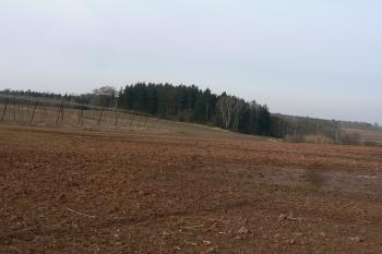 Pohled z východu (© Prudký Martin, 03/2012)