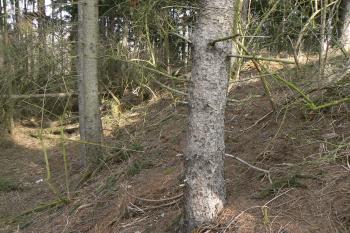 Příkop ze západu (© Prudký Martin, 03/2012)