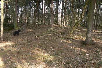 Tvrziště (© Prudký Martin, 03/2012)