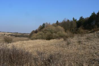 Za vrbou je hřbitov (© Prudký Martin, 03/2012)