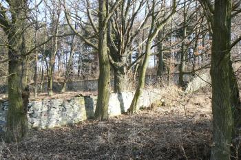 Západní zeď (© Prudký Martin, 03/2012)