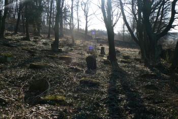  (© Prudký Martin, 03/2012)