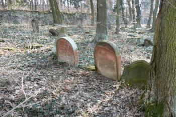  (© Prudký Martin, 03/2012)