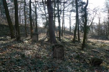  (© Prudký Martin, 03/2012)