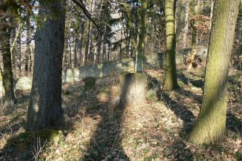  (© Prudký Martin, 03/2012)