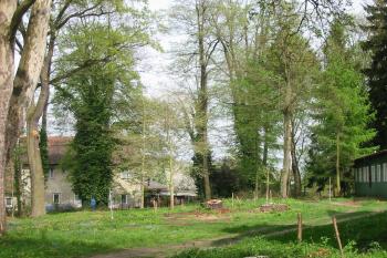 zámecký park s regulovaným kácením (© D Dohňanský, 05/2015)