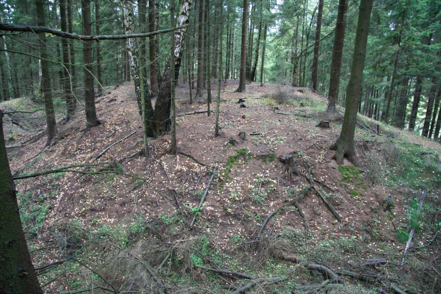 Bochov