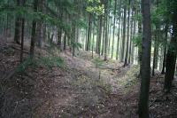 Bochov