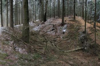  (© Martin  Kabeláč 11/2011)