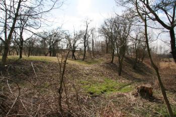 Pohled na tvrziště ( © Petr Nožička 03/2012)