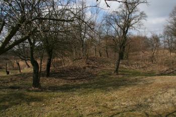  ( © Petr Nožička 03/2012)